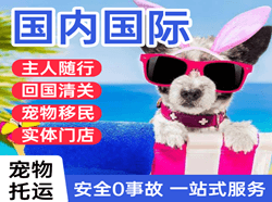 扎兰屯成吉思汗空运代理国际宠物托运 【国